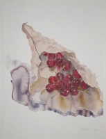 Kirschentte, 2009, Aquarell und Graphit auf Hadern