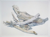 Treibholz, 2012, Aquarell und Graphit auf Hadern