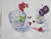 Pelargonienblte und Clematiszweig, 2013, Aquarell und Graphit auf Hadern