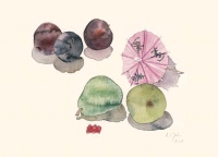 Frchte und Chinaschirmchen, 2005, Aquarell und Graphit auf Hadern